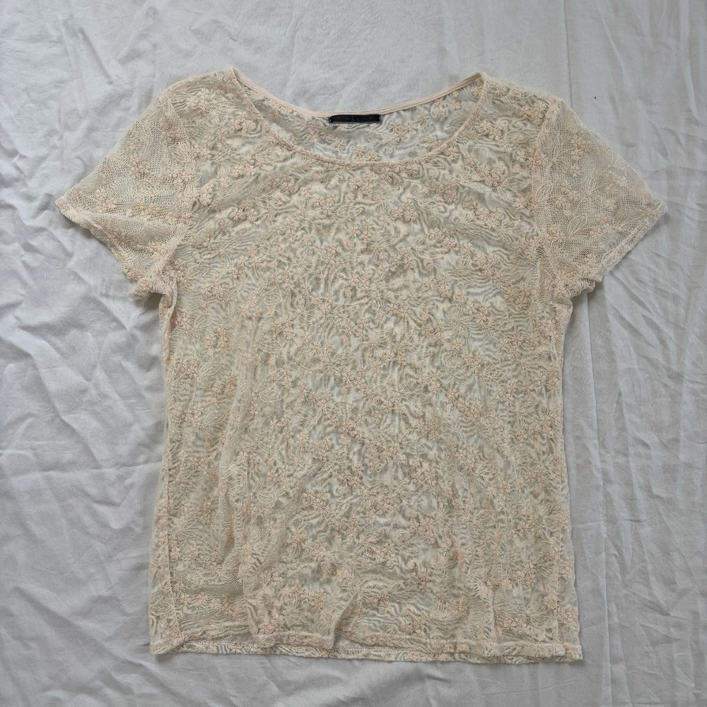 Vintage Velvet Sheer Lace Top